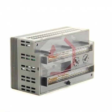 IC200ALG230 | Versamax | Emerson - GE Fanuc | Image 2