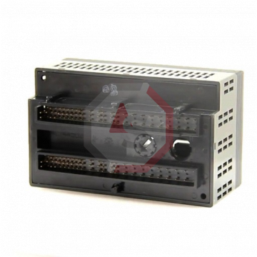 IC200ALG260 | Versamax | Emerson - GE Fanuc | Image 2