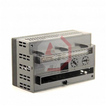 IC200ALG262 | Versamax | Emerson - GE Fanuc | Image 2