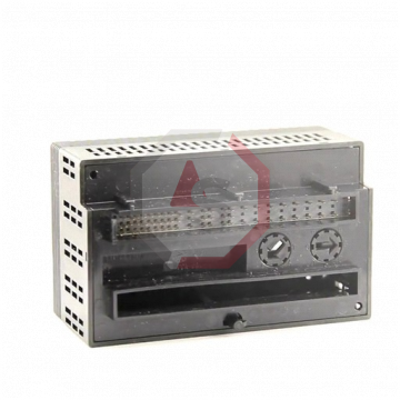 IC200ALG266 | Versamax | Emerson - GE Fanuc | Image 1