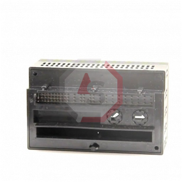 IC200ALG266 | Versamax | Emerson - GE Fanuc | Image 2