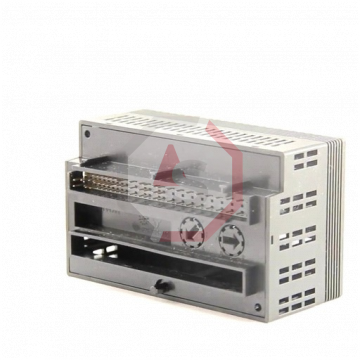IC200ALG266 | Versamax | Emerson - GE Fanuc | Image 3