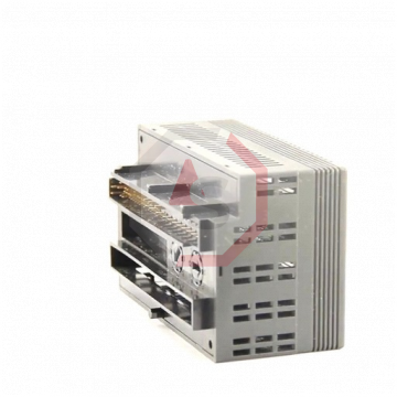 IC200ALG266 | Versamax | Emerson - GE Fanuc | Image 4