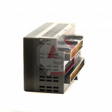 IC200ALG320 | Versamax | Emerson - GE Fanuc | Image 2