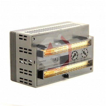 IC200ALG320 | Versamax | Emerson - GE Fanuc | Image 3