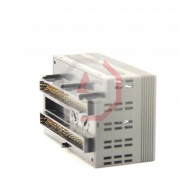 IC200ALG321 | Versamax | Emerson - GE Fanuc | Image 2