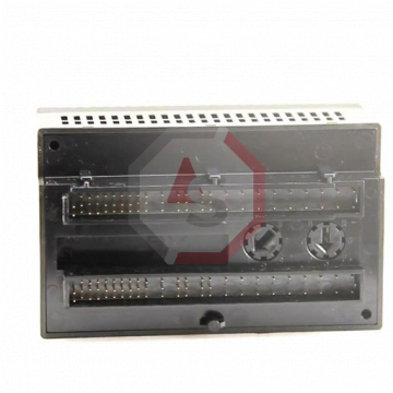 IC200ALG432 | Versamax | Emerson - GE Fanuc | Image 4