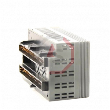 IC200ALG630 | Versamax | Emerson - GE Fanuc | Image 2