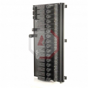 IC200CHS112 | Versamax | Emerson - GE Fanuc | Image 2