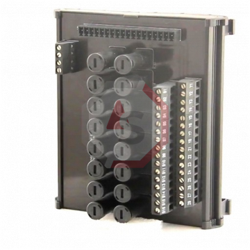 IC200CHS122 | Versamax | Emerson - GE Fanuc | Image 2