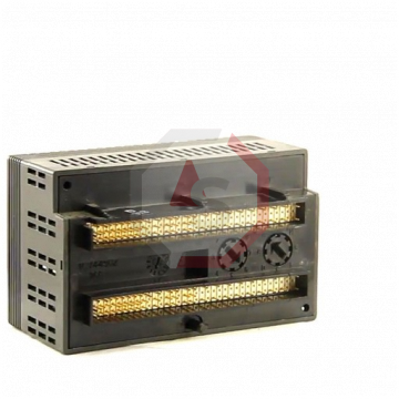 IC200MDL330 | Versamax | Emerson - GE Fanuc | Image 2