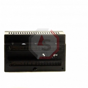 IC200MDL750 | Versamax | Emerson - GE Fanuc | Image 2