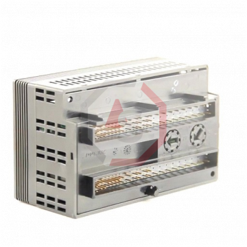 IC200ALG620 | Versamax | Emerson - GE Fanuc | Image 2