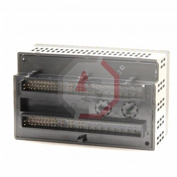 IC200ALG620 | Versamax | Emerson - GE Fanuc | Image 4