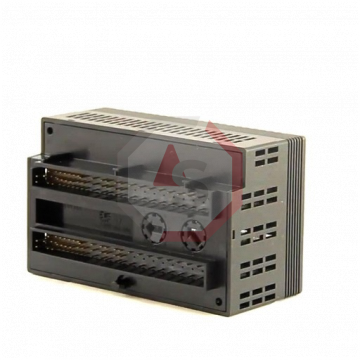 IC200MDL241 | Versamax | Emerson - GE Fanuc | Image 4